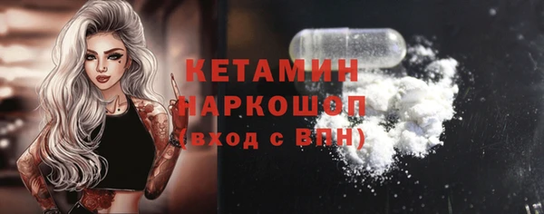 стаф Ельня