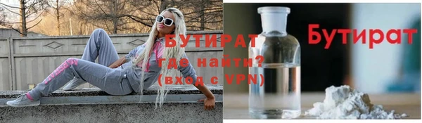 стаф Ельня