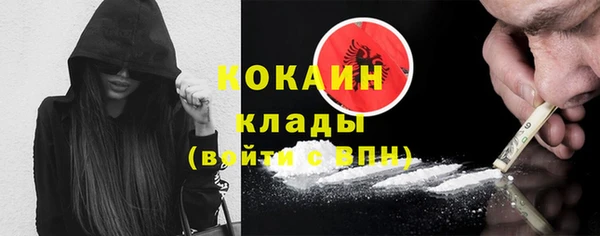 стаф Ельня
