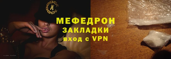 стаф Ельня