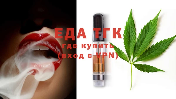 стаф Ельня
