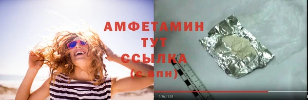 стаф Ельня