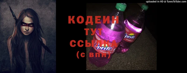 индика Заволжье
