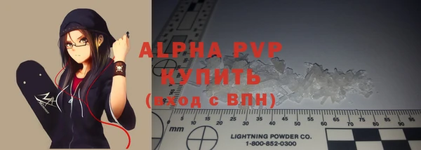 стаф Ельня