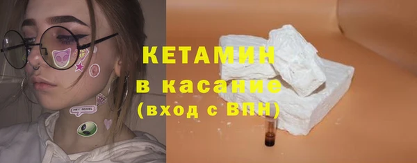 стаф Ельня