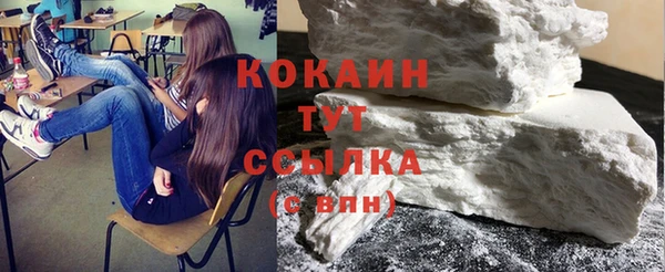 стаф Ельня