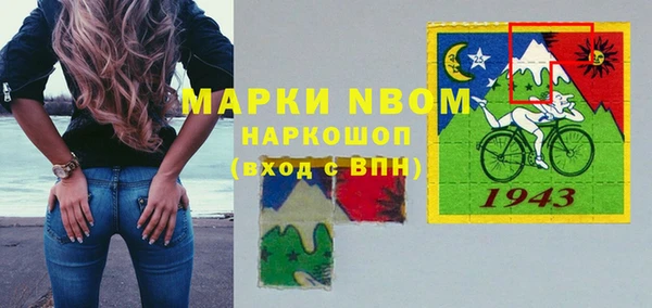 стаф Ельня