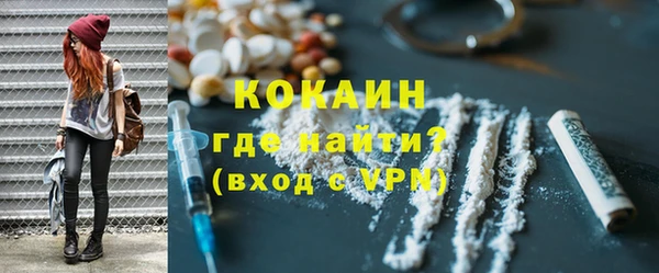 стаф Ельня