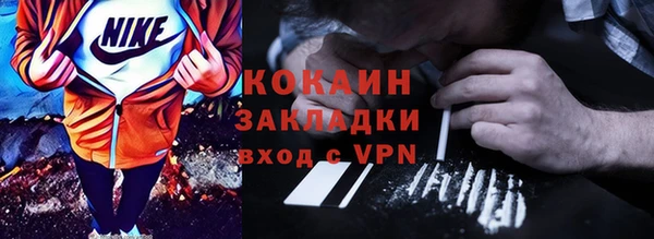 стаф Ельня