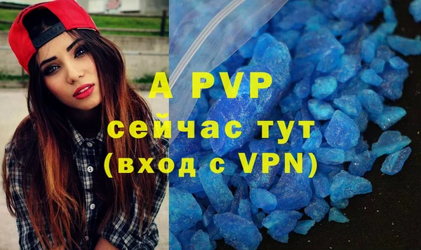 стаф Ельня
