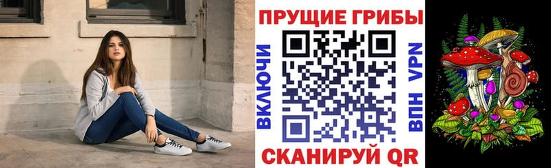 Галлюциногенные грибы прущие грибы  Плавск 